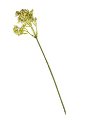 Similar image 22583883