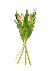 Similar image 22583091