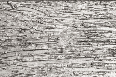 Similar image 22583108