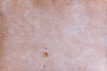 Similar image 22583124