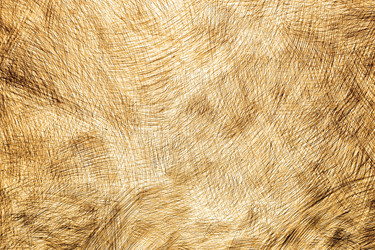 Similar image 22583138