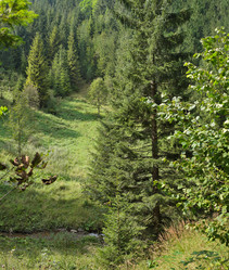 Similar image 22583771