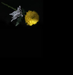 Similar image 22583110
