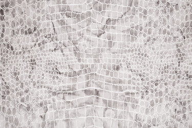 Similar image 22583177