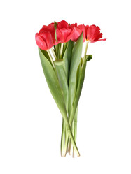 Similar image 22583465