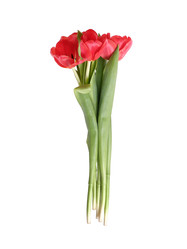 Similar image 22583567