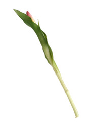 Similar image 22583718