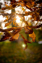 Similar image 22589968