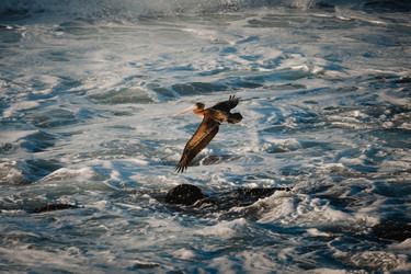 Similar image 22590012