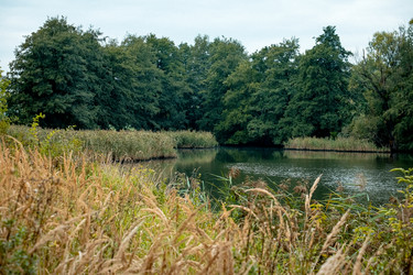 Similar image 22590031