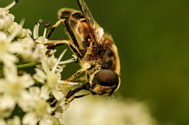 Similar image 22585498