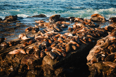 Similar image 22585637