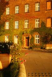 Similar image 22585639