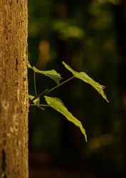 Similar image 22585669