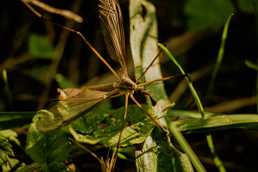 Similar image 22585681