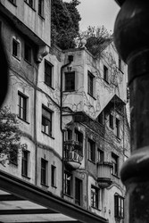 Similar image 22586679