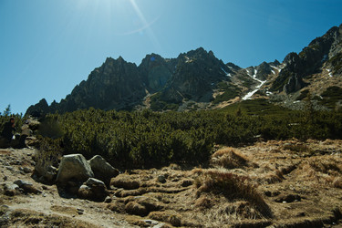 Similar image 22586696