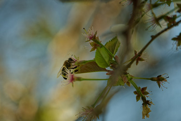 Similar image 22586741