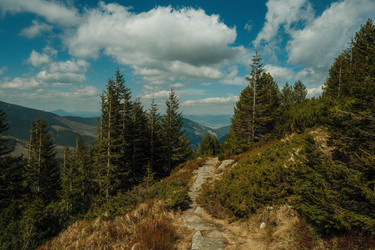 Similar image 22586752