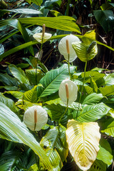 Similar image 22586769