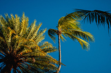 Similar image 22586786