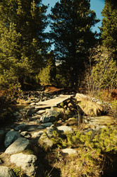 Similar image 22586787