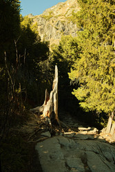 Similar image 22586801