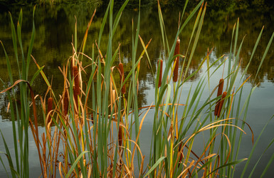 Similar image 22586802