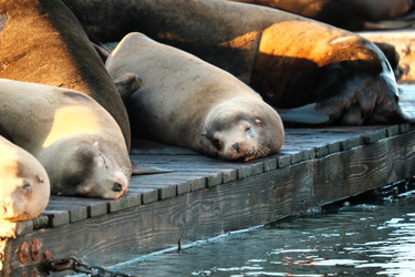 Similar image 22586841