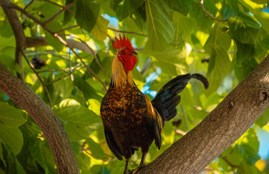 Similar image 22586842