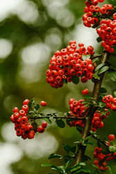 Similar image 22586844