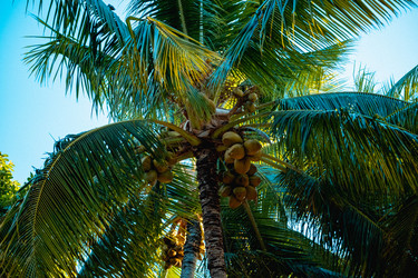 Similar image 22586845