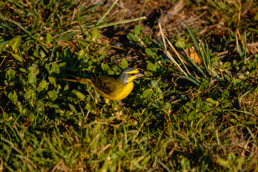 Similar image 22586862