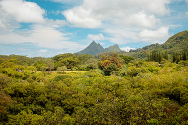 Similar image 22586877