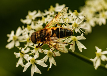 Similar image 22586888