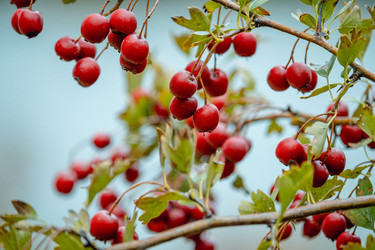 Similar image 22589897