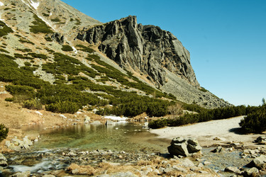 Similar image 22590016