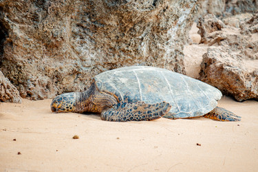 Similar image 22590032