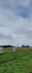 Similar image 22592872