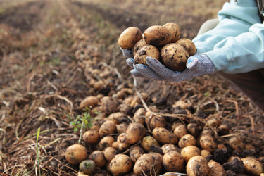 Similar image 22590434