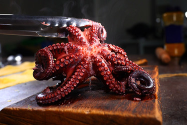 Similar image 22590437