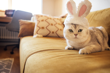 Similar image 22591604