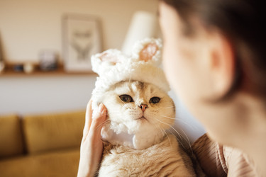 Similar image 22591613