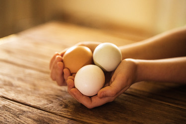 Similar image 22591621