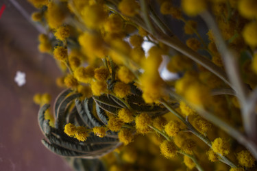 Similar image 22594664