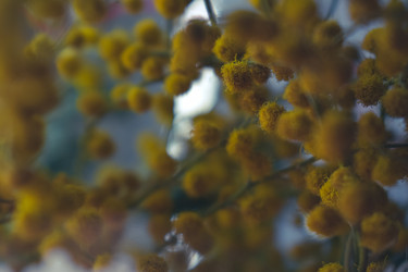 Similar image 22594677