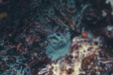 Similar image 22591249