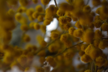 Similar image 22594678