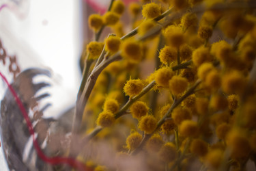 Similar image 22594679