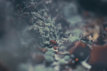 Similar image 22591250